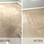 Professional-Carpet-Cleaning-suncoast Steamers